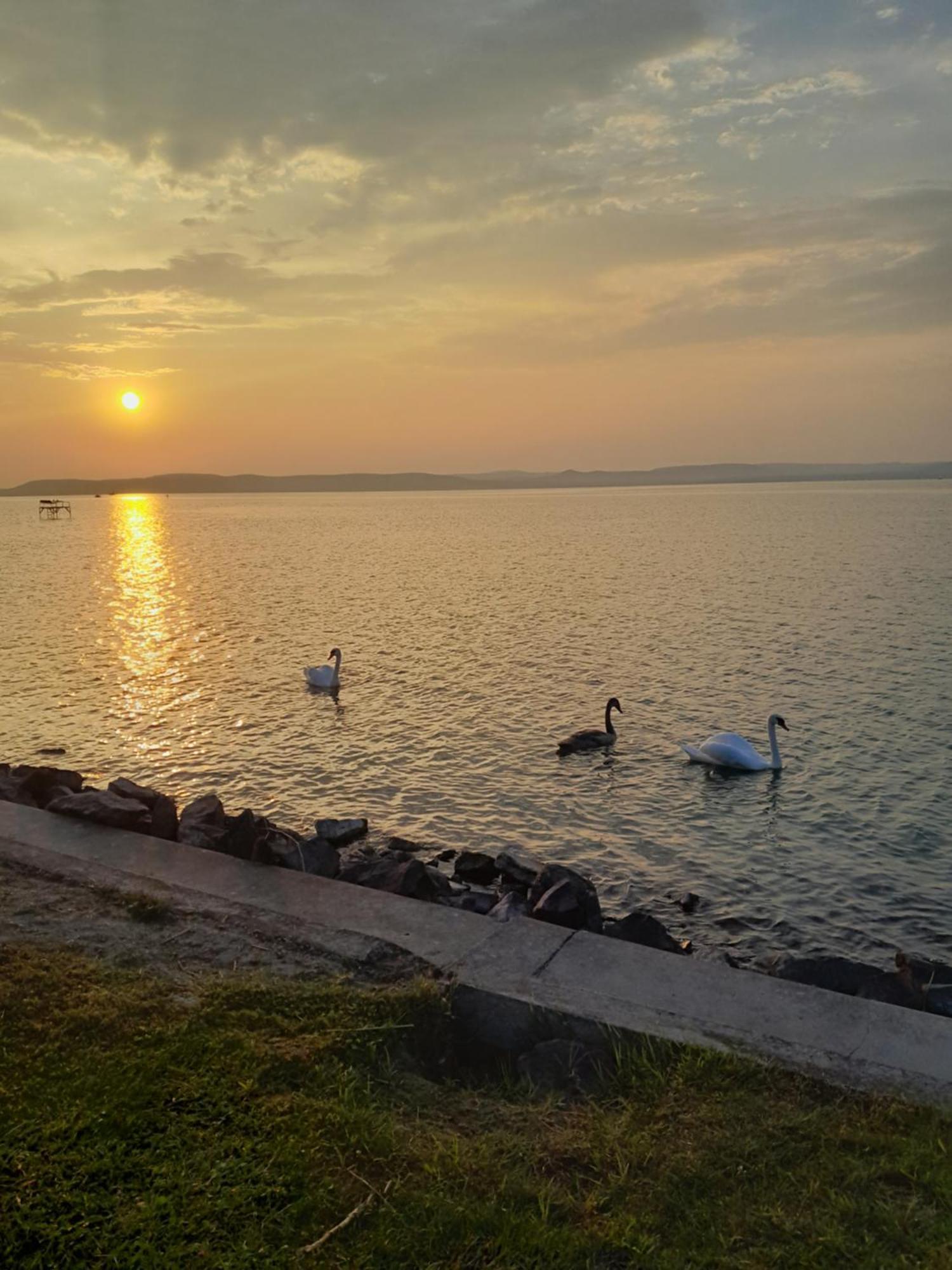 Traumlage Direkt Am See Balatonszemes Exterior photo